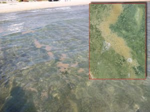 GADARIJA U VODICAMA: "Još prošle godine pukla cijev od kanalizacije, turisti dobili osip i završili u bolnici"