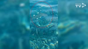 Pogledajte kako jučer i danas izgleda more u Sevidu!