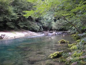 Rujan donosi priliku za upoznavanje i čuvanje jedine riječke rijeke