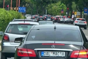 NIJE MOGAO BEZ DALMACIJE Čeh promijenio registraciju na način koji je oduševio Dalmatince!