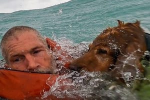 U jeku uragana američka obalna straža s jedrilice spasila čovjeka i njegovog psa!