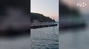 Stanovnici otoka Suska se žale: "Staro pristanište nema rasvjete, a na njega pristaju katamarani, a i cijeli otok je u mraku!"