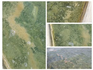 Reagirali iz Grada Vodica: "Nigdje nije pukla cijev, more je izvrsne kakvoće, radite nam štetu!" - Vodičanin: "Gosti otkazuju jer imaju kožna oboljenja"