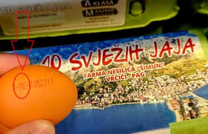 Farma iz Paga "Šimuni" svjesno varala kupce! Njemačka jaja u Zadru prodavali kao domaća - Reagirao Državni inspektorat