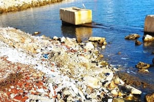 Netko na Vrgadi baca šutu u more!