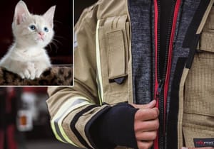 Splitski vatrogasci spasili mačića iz automobila!