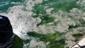 Posljedice ribogojilišta u Zadarskoj županiji? Nakon Vrgade masnoća pliva morem i oko Rave! Cromaris: "Nije naše!" Kornat Ittica: "Nije ni naše!"