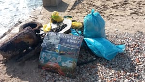 Na zadarskoj plaži Kolovare održana akcija čišćenja podmorja