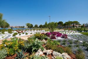 Umag, jedan od predvodnika zelene tranzicije u Hrvatskoj