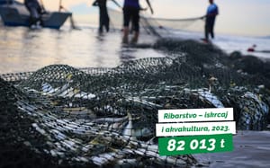 Državni zavod za statistiku: "Smanjen iskrcaj male plave ribe za 13%!"