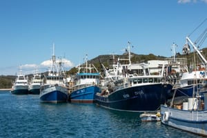 Objavljen poziv na dostavu društveno-gospodarskih podataka u ribarskoj floti za 2023. godinu