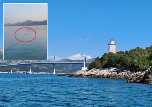 IMAMO DVIJE SNIMKE Kod svjetionika Blace na Pelješcu i kod Korčule snimljeno neobično stvorenje - Je li sredozemna medvjedica?