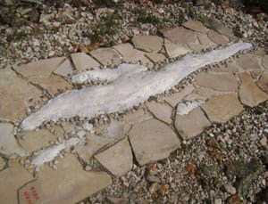 Tko pogodi koji je ovo otok, pravi je znalac!