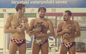 Barakude zagrlile štence u kampanji za spas doma napuštenih pasa!