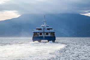 Katamaran zaplovio s Lastova za Split pa se naglo okrenuo i vratio - U pogonski sustav mu se zaplela neoznačena vrša!