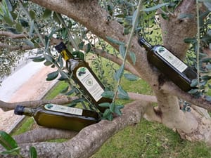 Vatrogasci iz Selca na Braču proizvode i maslinovo ulje