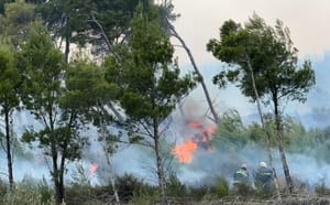 Vjetar otežava gašenje požara u Žrnovnici - Stigao kanader ali je ubrzo i otišao jer je nemoguće gasiti iz zraka!