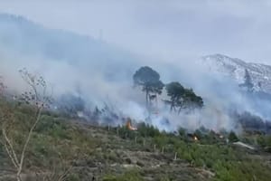 Lokaliziran požar u Žrnovnici
