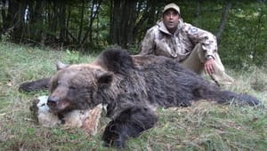 Strogo zaštićenog medvjeda u Hrvatskoj možete ubiti za 12 tisuća eura! Amerikanac se hvali ubijenim primjerkom - Ministarstvo poslalo oksimoronski odgovor: "Strogo je zaštićen ali..."