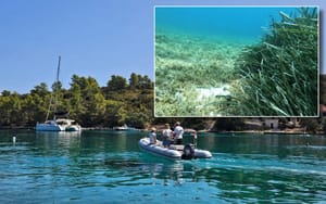 Preporuke za učinkovitiji nadzor i provedbu zaštite u zaštićenim morskim područjima