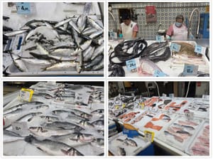 Je li vam skupa riba? Bili smo u Lisabonu na peškariji: Dagnje su 2, skuše i salpe 3, srdele i oslići 5, brancini i orade po 8 eura...