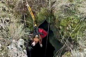 Lovački pas na Hvaru upao u 20 metara duboku jamu, spasili ga vatrogasci