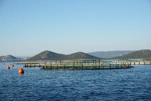 Počinju teći rokovi za predaju zahtjeva za državne potpore u ribarstvu i akvakulturi