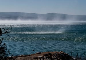 Gusta morska voda Sjevernog Jadrana ključna je za ravnotežu cijelog ekosustava - evo i zašto!