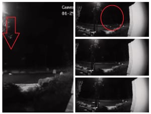 Maloljetniku koji je na zadarskoj šetnici nožem uboo ženu u vrat, određen istražni zatvor