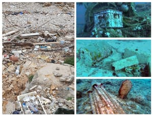 MORE KAO "PLAVI DEPONIJ": Koliko je vremena potrebno da se morski otpad razgradi u moru?