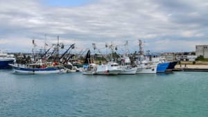 Zadarska županija sufinancira projekte udruga u sektoru poljoprivrede, ribarstva i zaštite životinja