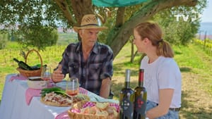 DALMATINSKA MARENDA Sipa, bob, panceta i kozji sir u kaštelanskom masliniku