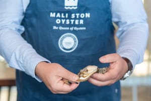 DANI MALOSTONSKE KAMENICE Proslava okusa i tradicije