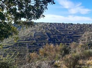 Hvar Gravel Challenge 2025. posebna je biciklistička utrka