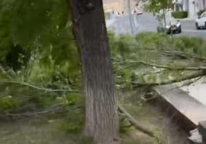 KAOS U ŠIBENIKU Olujno jugo čupa stabla, nosi krovove i dijelove fasada