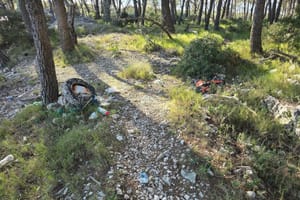 Eko akcija čišćenja od Martinske do Jadrije