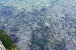 EKOLOŠKA KATASTROFA NA HVARU Javila se INA: "Spremnik iz kojeg je došlo do istjecanja redovito je održavan, a koncesija nije istekla!"