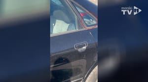 VIDEO Na parkiralištu u Splitu snimljen automobil krcat miševima: "Bojim se i pomislit šta ima unutra!"