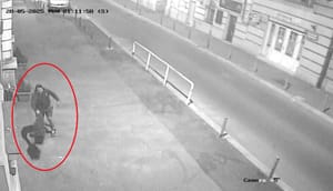 Ispred riječke gimnazije počupali cvijeće: "Ove vaze i parkić predstavljaju naš trud i rad od godinu dana..."