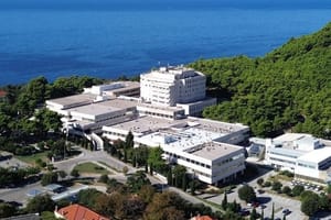 ČEKAJU ZAPOŠLJAVANJE STRANIH RADNKA Opća bolnica Dubrovnik muku muči s nedostatkom kuhara: "Osoblje koji nije dežurno umjesto kuhanog ručka ima sendviče!"