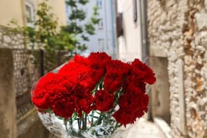 1. MAJ U VRULJICI Besplatan fažol i glazba u zadarskom parku