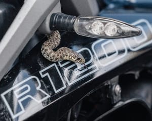 IZNENADILA GA U VOŽNJI Zmija  mu se uvukla u motor - srećom splitski vatrogasci bili su blizu!