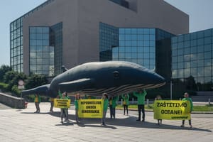 Divovski kit pred NSK-om: Greenpeace traži očitovanje Vlade po pitanju oceana!