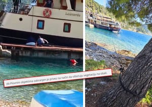 KRENULI SU Zabranjeno je vezivanje za stabla, a ovi i dalje luduju po Jadranu: "Za njih je zakon mrtvo slovo na papiru"