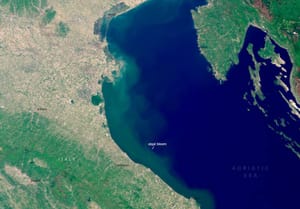 DIVLJE CVJETANJE ALGI U JADRANU Satelitske slike iz svemira otkrivaju zabrinjavajući trend!