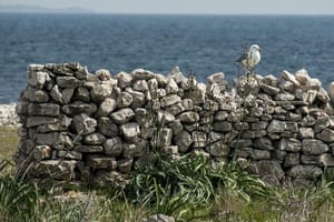 Ručne bombe i eksplozivna sredstva pronađena u suhozidu!