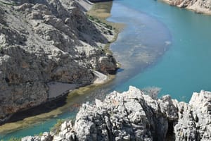 Jeste li znali da u rijeku Zrmanju zna "zalutati" i hobotnica?