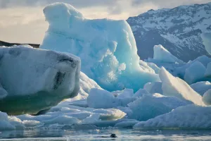 Polovica svijeta prošle je godine bila suočena s dodatnih mjesec dana toplinskog vala