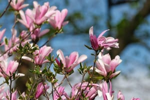 Travanj je bio iznadprosječno topao i vrlo promjenjiv, a Zoran Vakula otkriva i što nas čeka u svibnju!