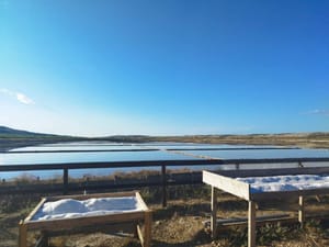 Solana Pag poziva na branje soli: "Jutro u poljima soli, a uz znanje kući nosite i  - pašku sol!"